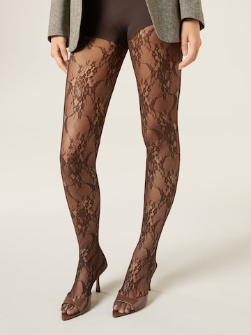 CALZEDONIA Tights in Brown