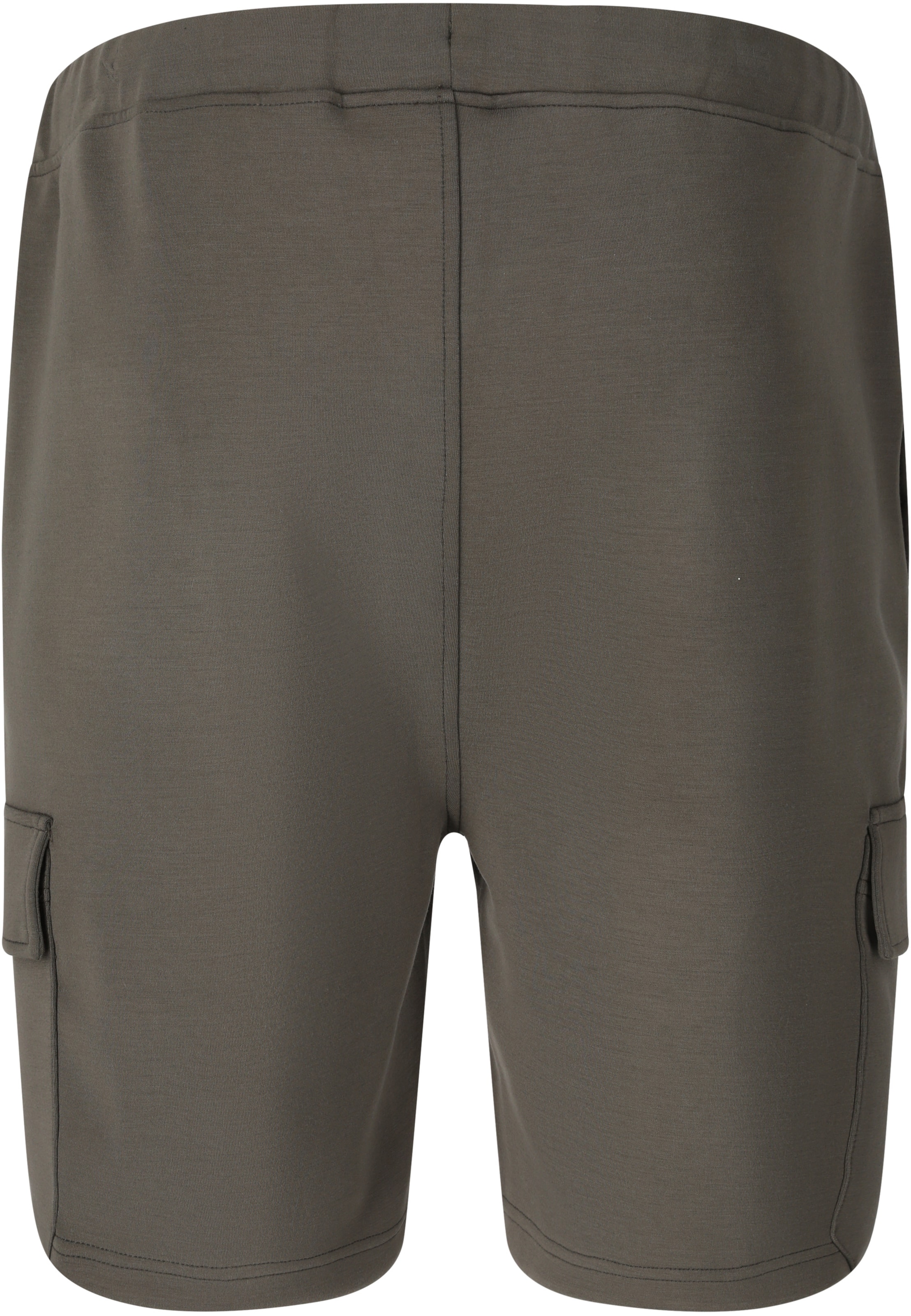 Virtus Loosefit Shorts 'Nasas' in Braun