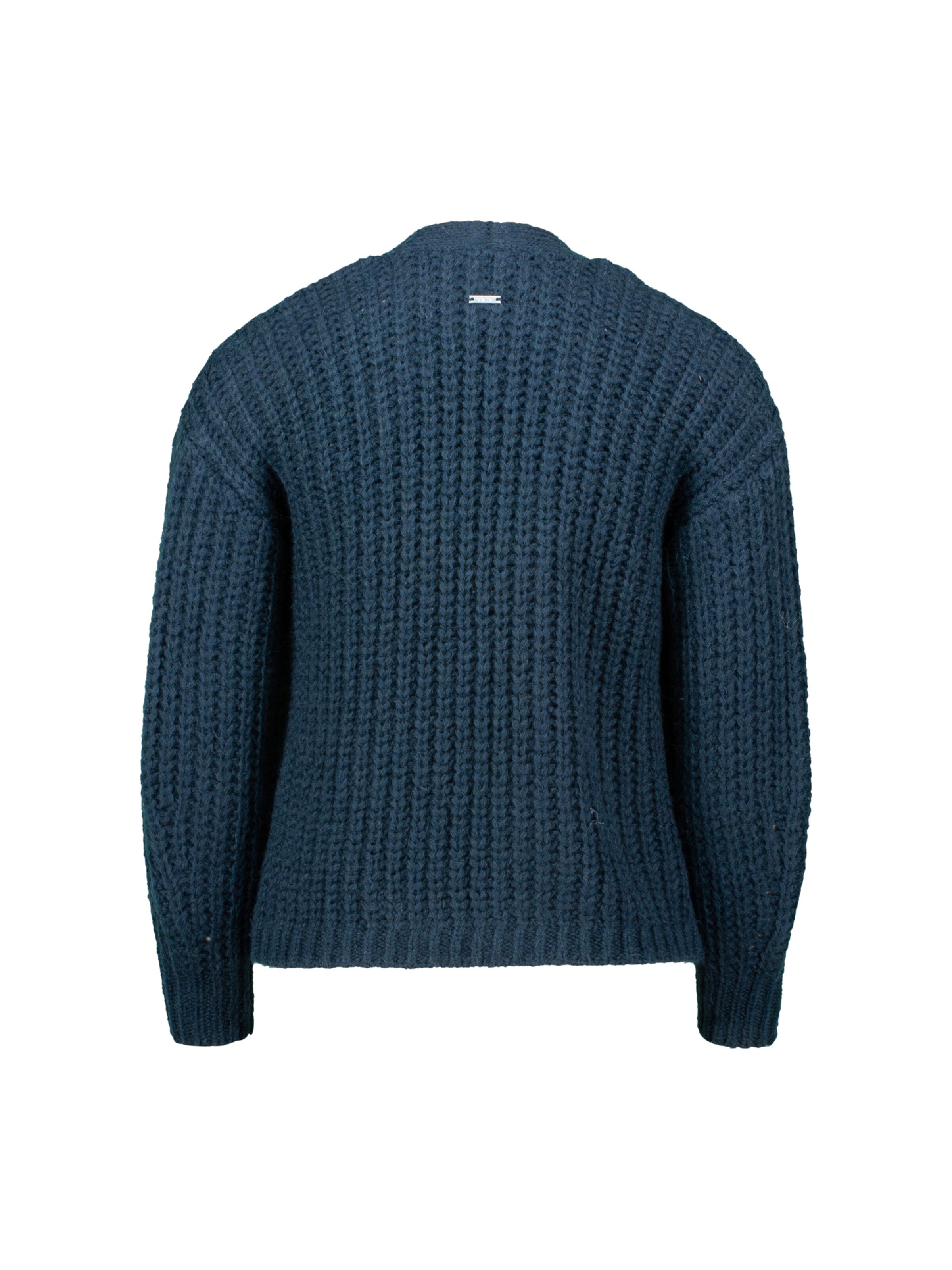 zero Gebreid vest in Blauw