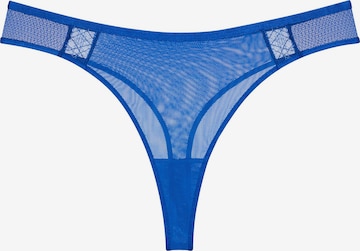 TRIUMPH String ' Palina Cosmic Heartbeat String ' in Blau: Vorderseite