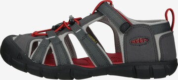 KEEN Sandalen 'Seacamp II' in Grijs