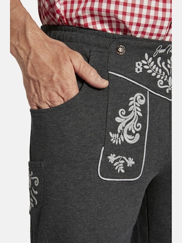 Loosefit Pantalon folklorique ' Dennik ' Jan Vanderstorm en gris