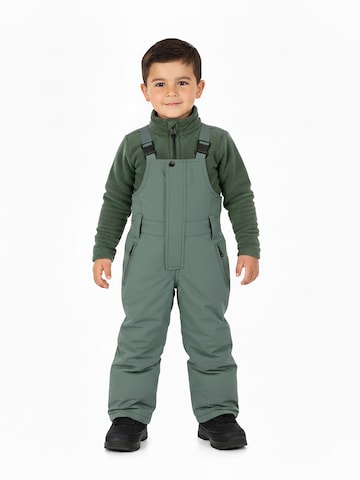 PROTEST Regular Sports trousers 'NEUTRAL TD' in Green