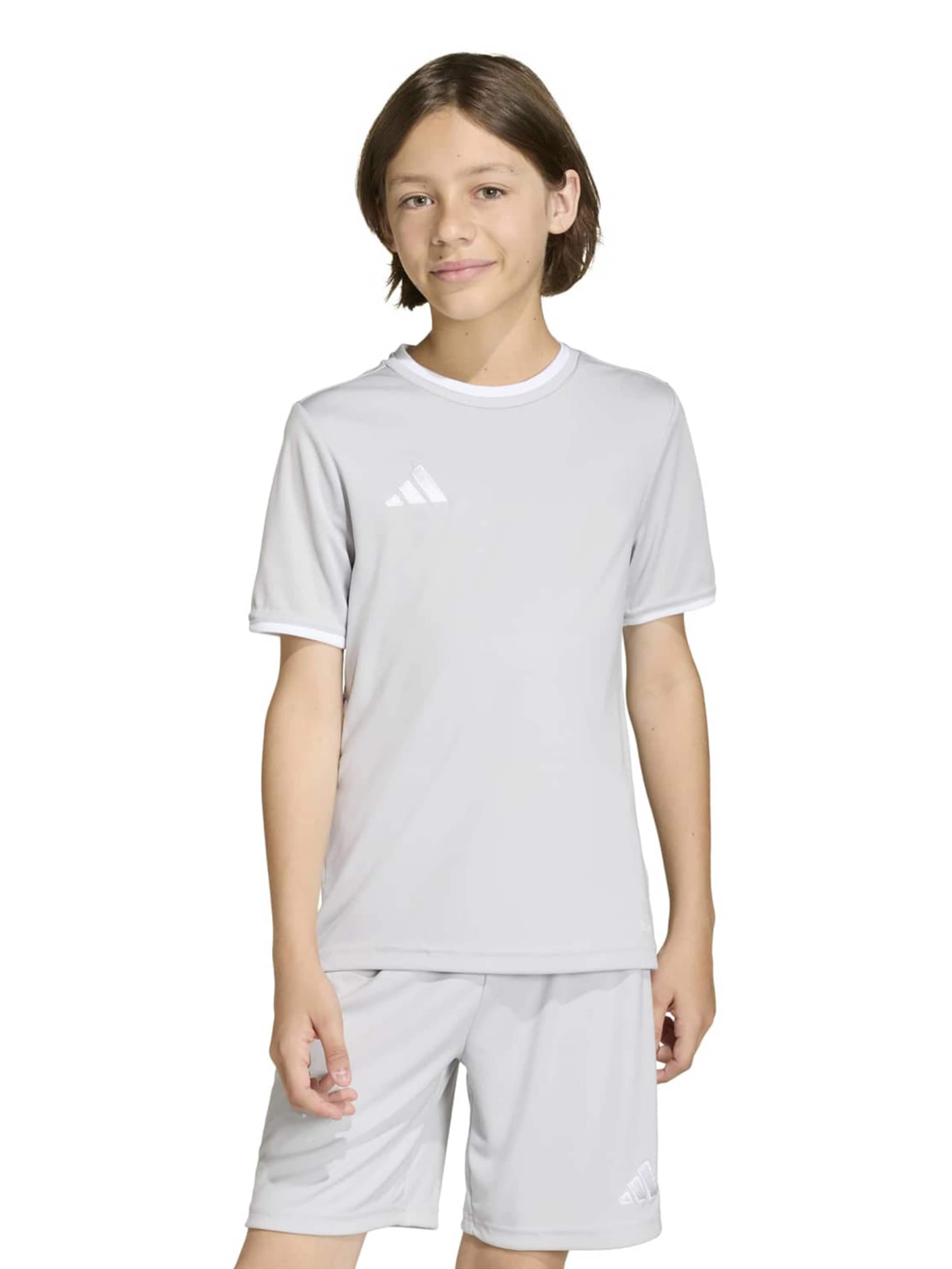 ADIDAS PERFORMANCETehnička sportska majica 'ENT26' - siva boja: prednji dio