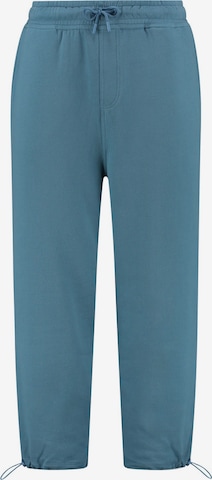 Effilé Pantalon Shiwi en bleu : devant