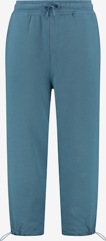 Shiwi Tapered Broek in Blauw: voorkant