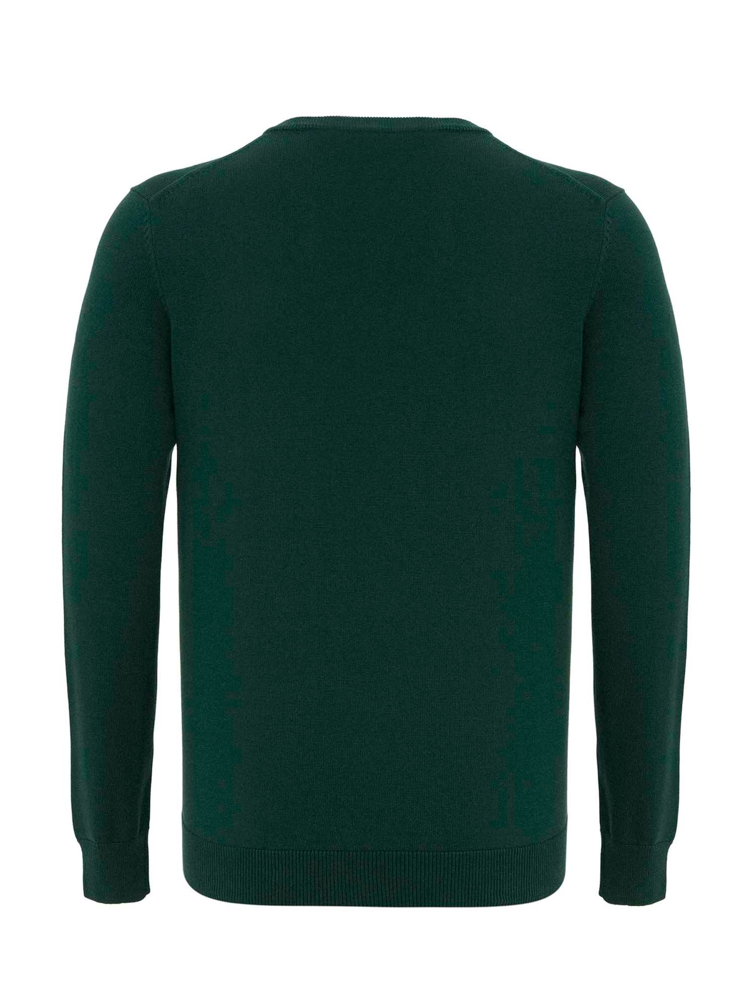 Jacey QuinnPulover 'Porto' - zelena boja