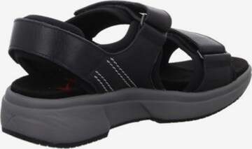 Xsensible Sandalen in Zwart