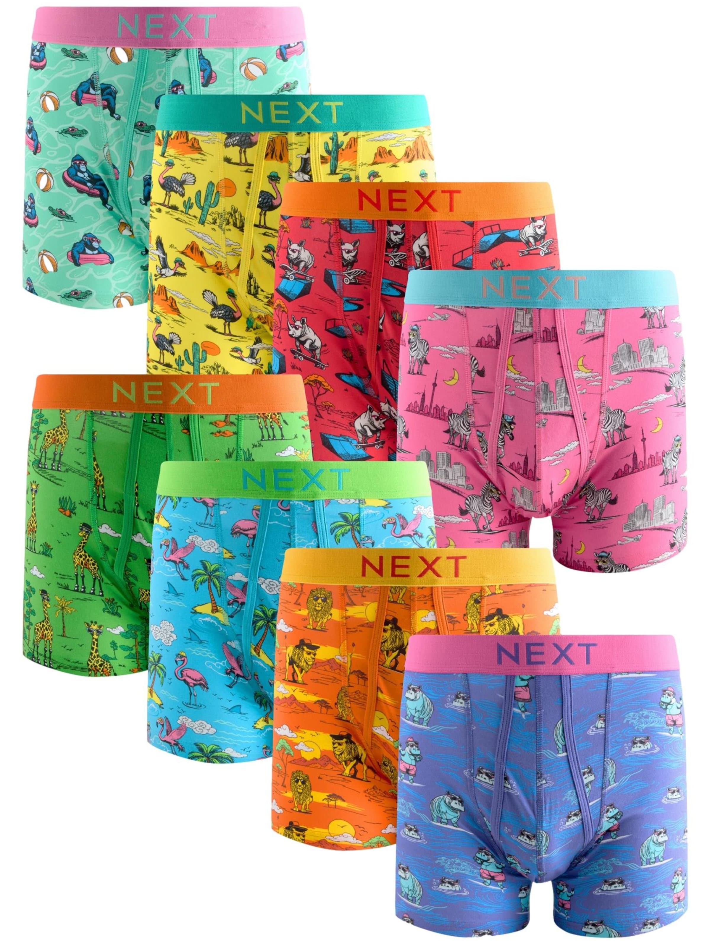 Next Boxershorts i blandade färger: framsida