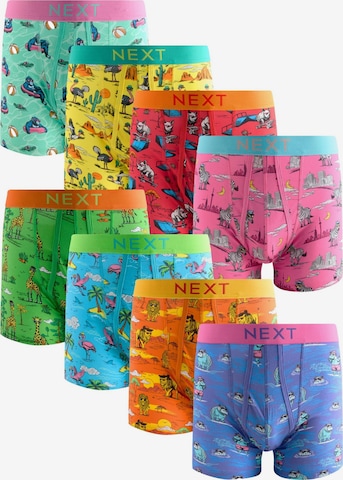 mišri Next Boxer trumpikės: priekis