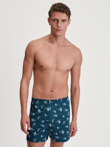 CALIDA Boxer shorts in Blue
