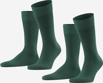 FALKE Socks in Green: front