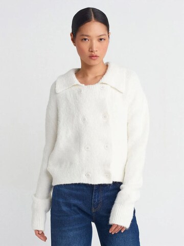 Dilvin Knit Cardigan in White: front