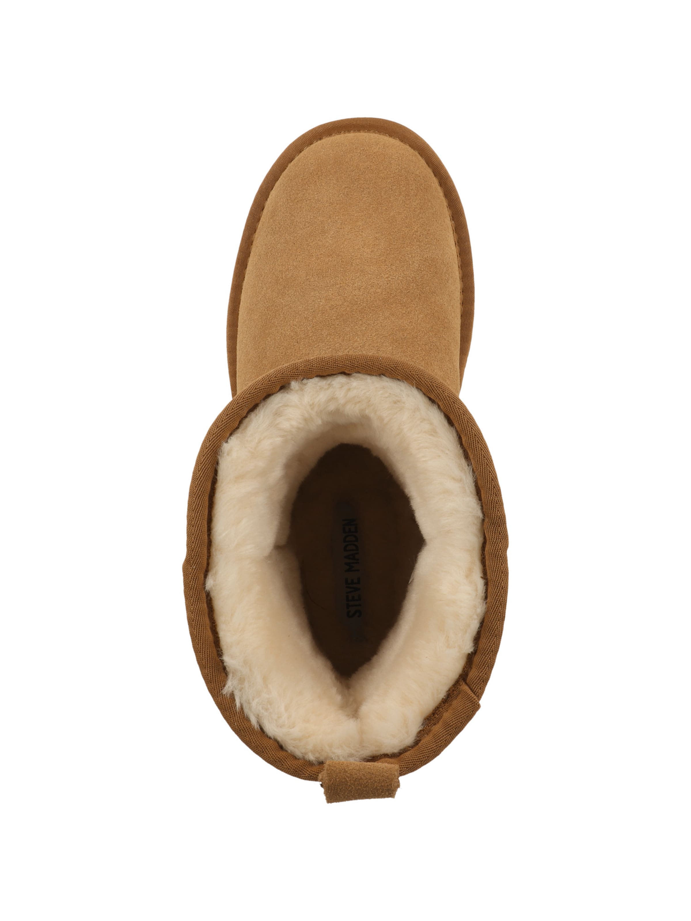 STEVE MADDEN Boots 'Tessah' in Brown