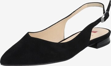 Högl Ballet Flats with Strap in Black: front