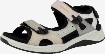 ECCO Sandals & Slippers 'Trinsic' in Mixed colors: front