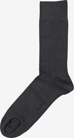 HOM Socken ' Cosy Modal ' in Grau: predná strana