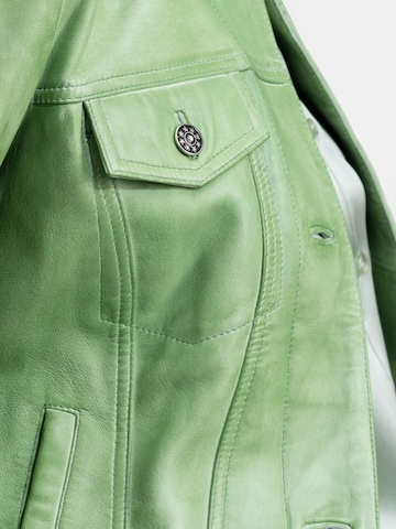Veste mi-saison 'NEBarbados' 18N62 en vert