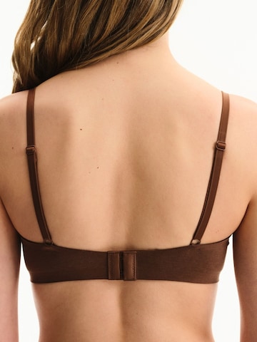 Bustier Soutien-gorge 'BHs & Bralettes' Penti en marron