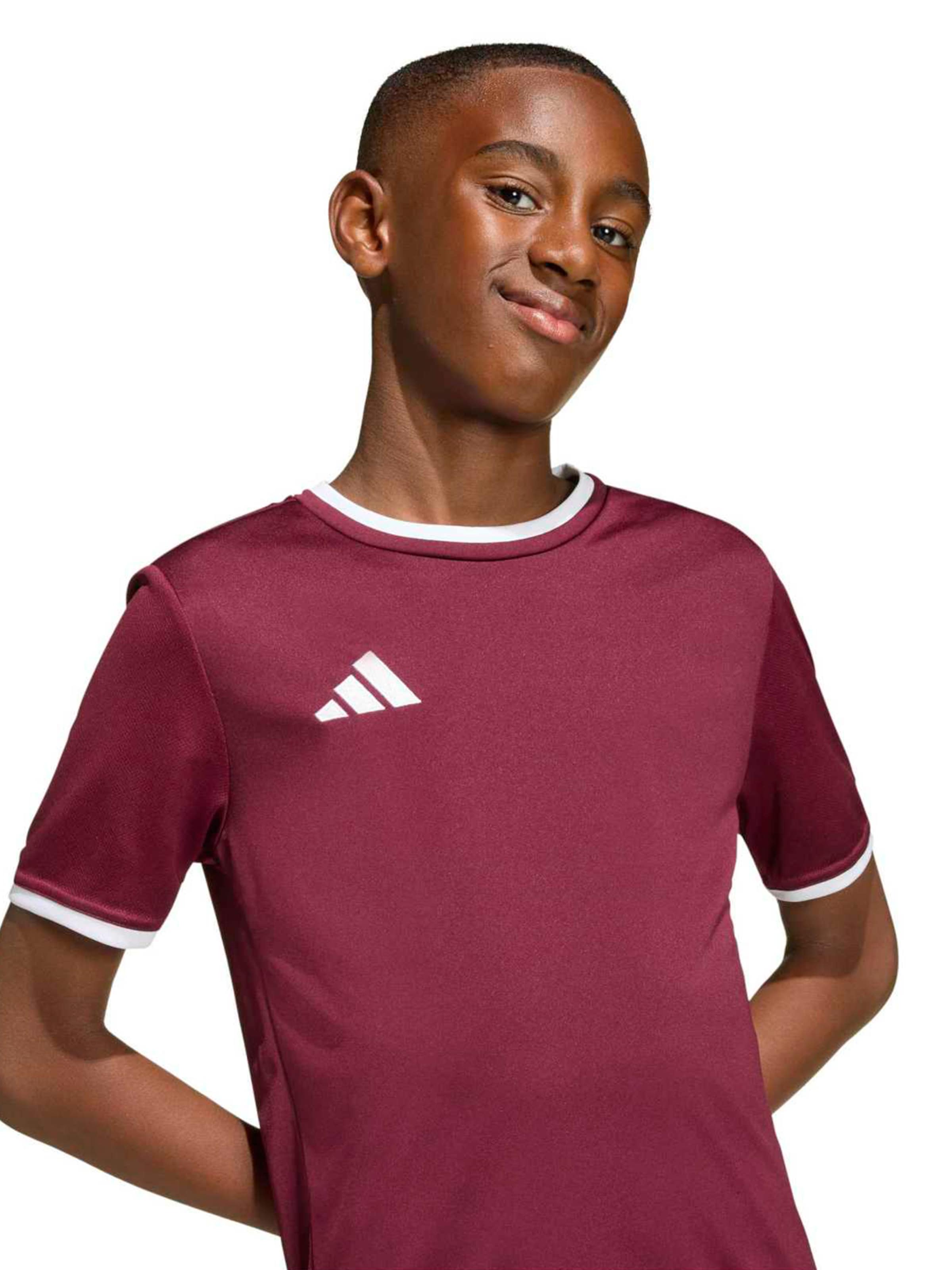 ADIDAS PERFORMANCE Функциональная футболка 'ENT26' в Красный