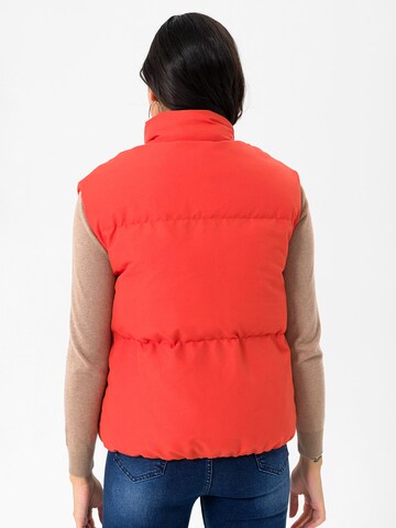 Gilet di Daniel Hills in arancione