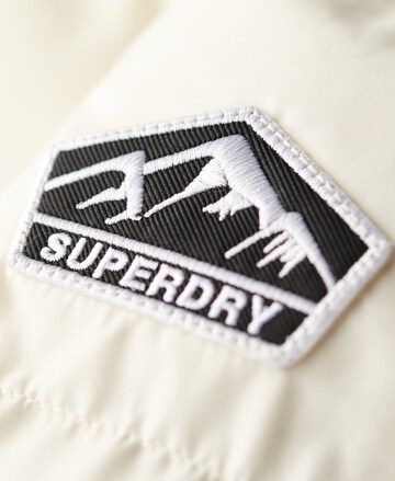 Superdry Winter jacket in Beige