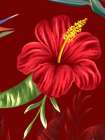 Hawaiihemdshop.de Regular fit Button Up Shirt 'Flowerful Summer (red)' in Red