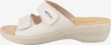 FLY FLOT Mules in Beige: front