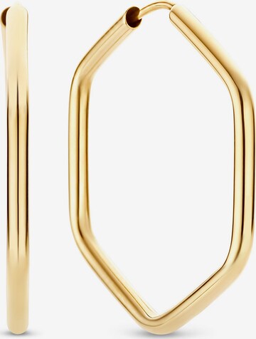 Beloro Jewels Earrings in Gold: front