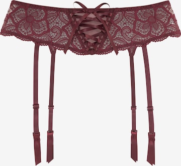 LASCANA Garters in Red: front