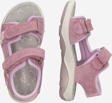 SALAMANDER Sandale 'Fia' in Pink