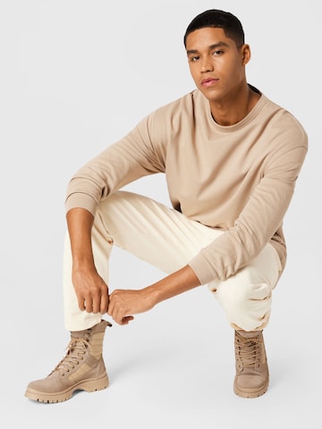 ABOUT YOU Limited Sweatshirt 'Luca' in Beige