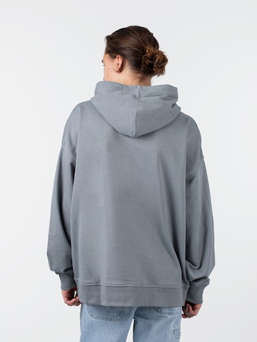 Calvin Klein Sweatshirt in Grau