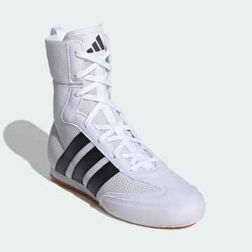 ADIDAS PERFORMANCE Athletic Shoes 'Box Hog' in White
