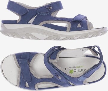 WALDLÄUFER Sandals & High-Heeled Sandals in 38 in Blue: front