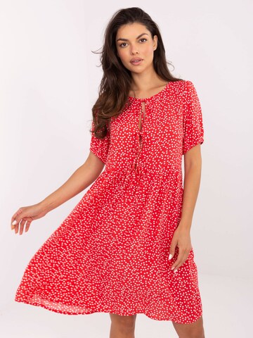 Madnezz House Kleid in Rot: Vorderseite