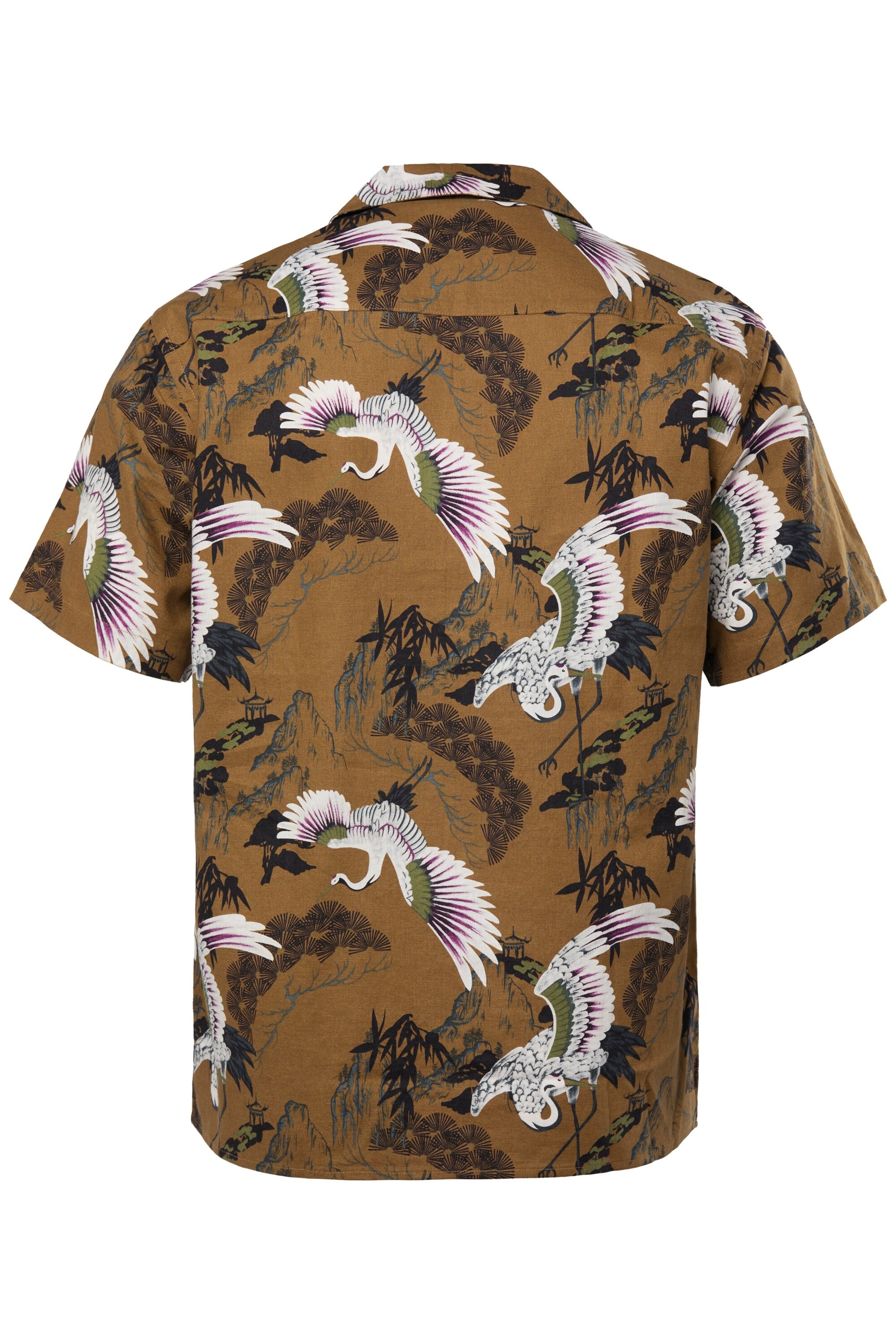 JP1880 Regular fit Overhemd in Bruin