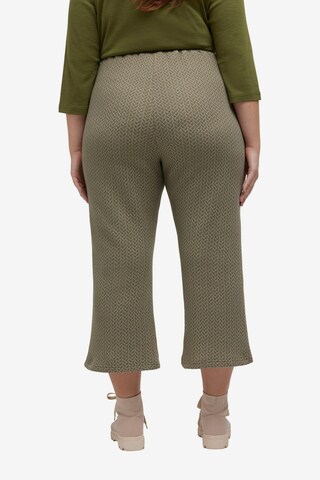 regular Pantaloni di Ulla Popken in verde