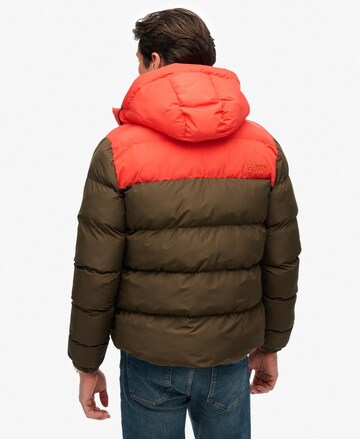 Veste mi-saison Superdry en marron