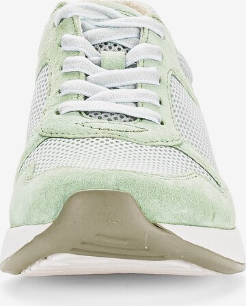 GABOR Sneakers laag in Groen