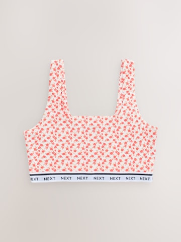 Next - Bustier Sujetador en Mezcla de colores