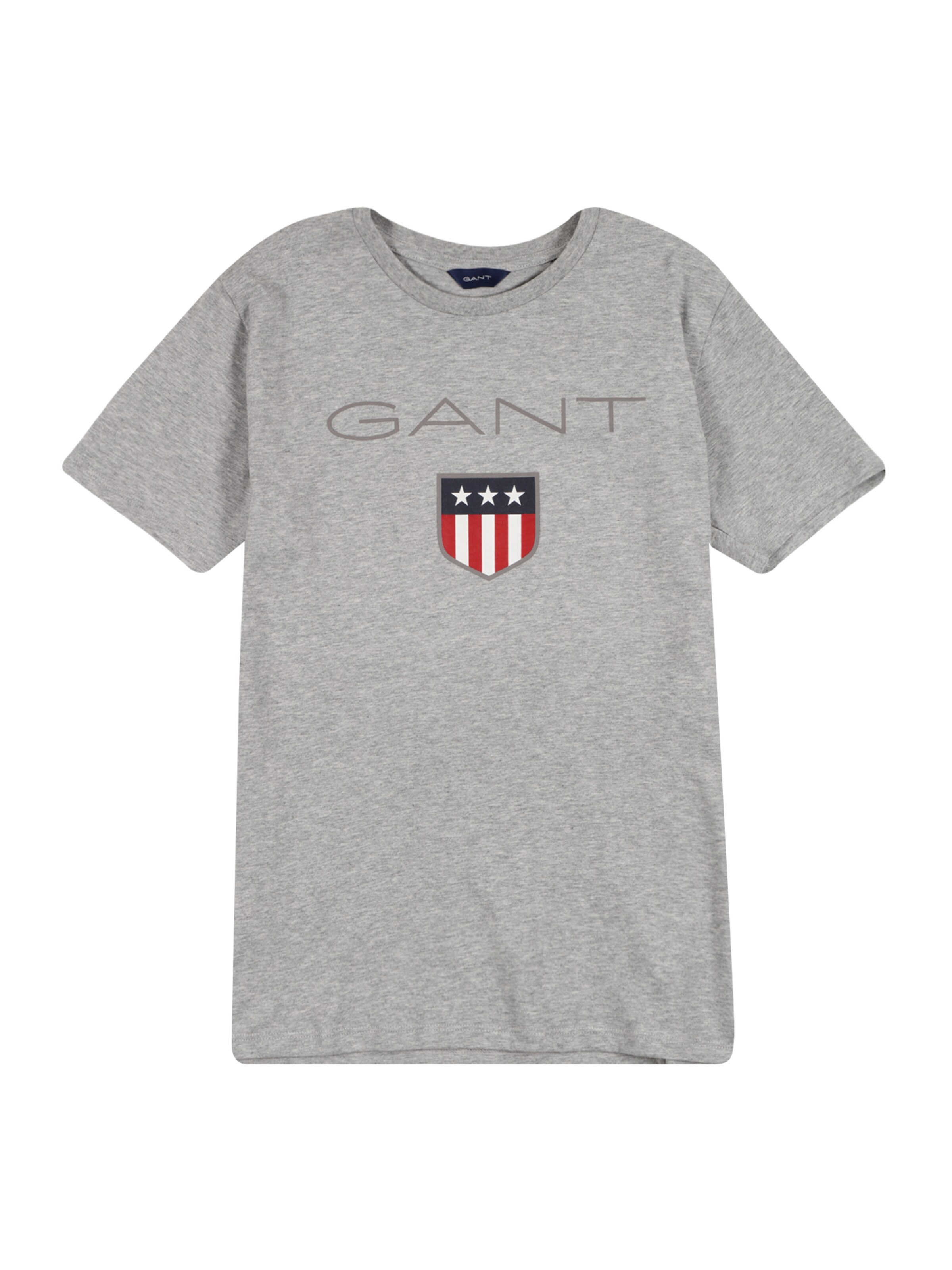 Maglietta di GANT in grigio: frontale