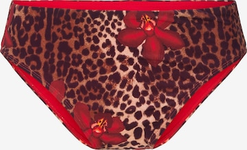 Bas de bikini LingaDore en marron : devant