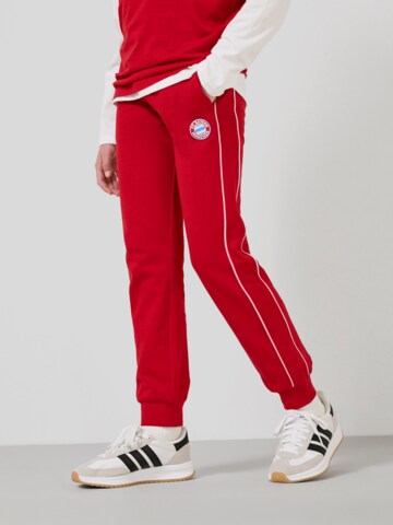 FC BAYERN MÜNCHEN Regular Pants in Red: front