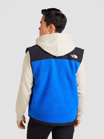 THE NORTH FACE - Chaleco 'RETRO DENALI' en azul