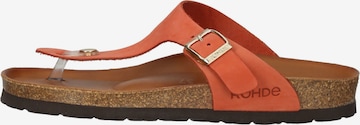 ROHDE Mules in Orange