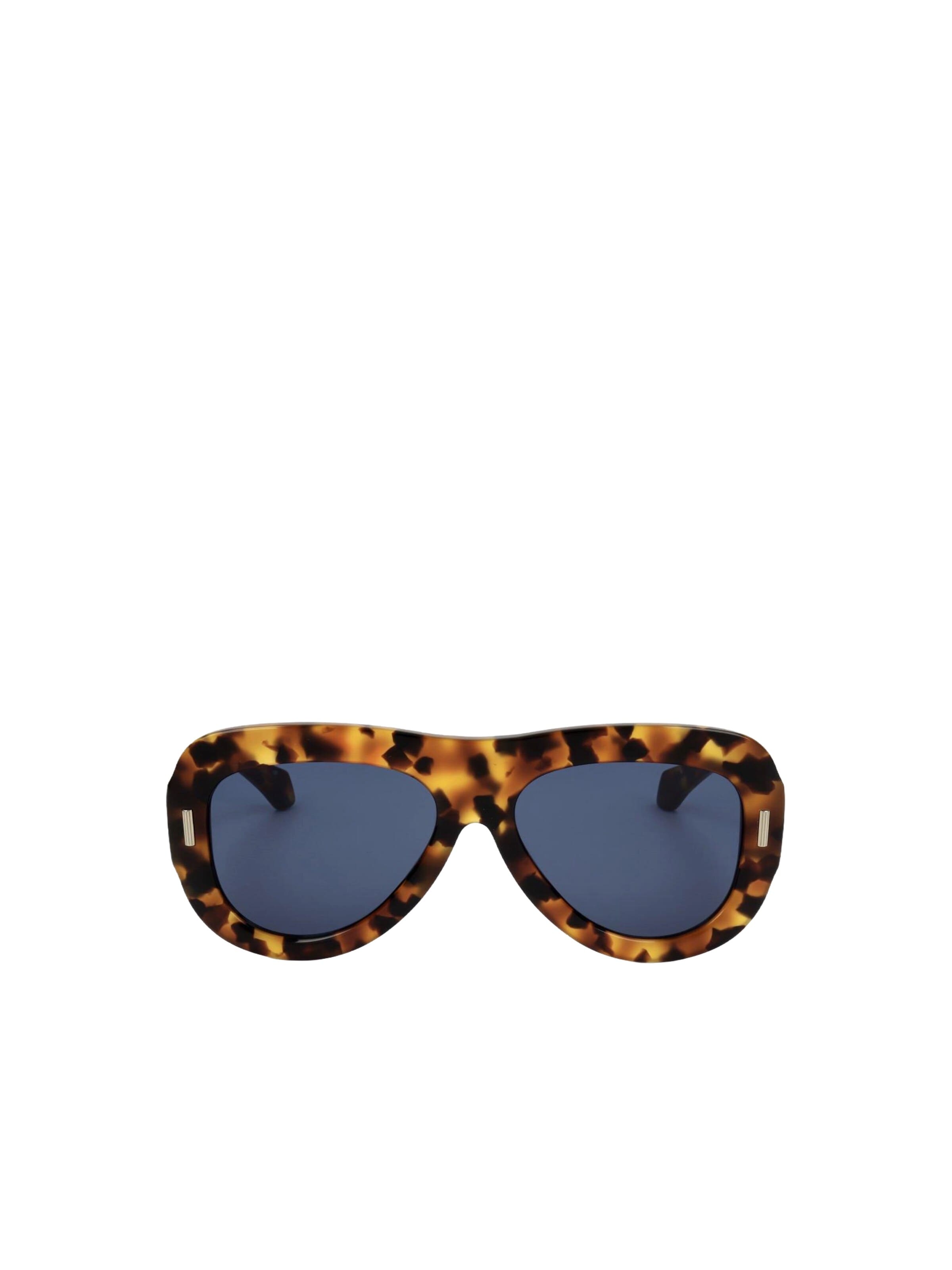 FERRAGAMO Zonnebril 'SF2029SE' in Bruin: voorkant