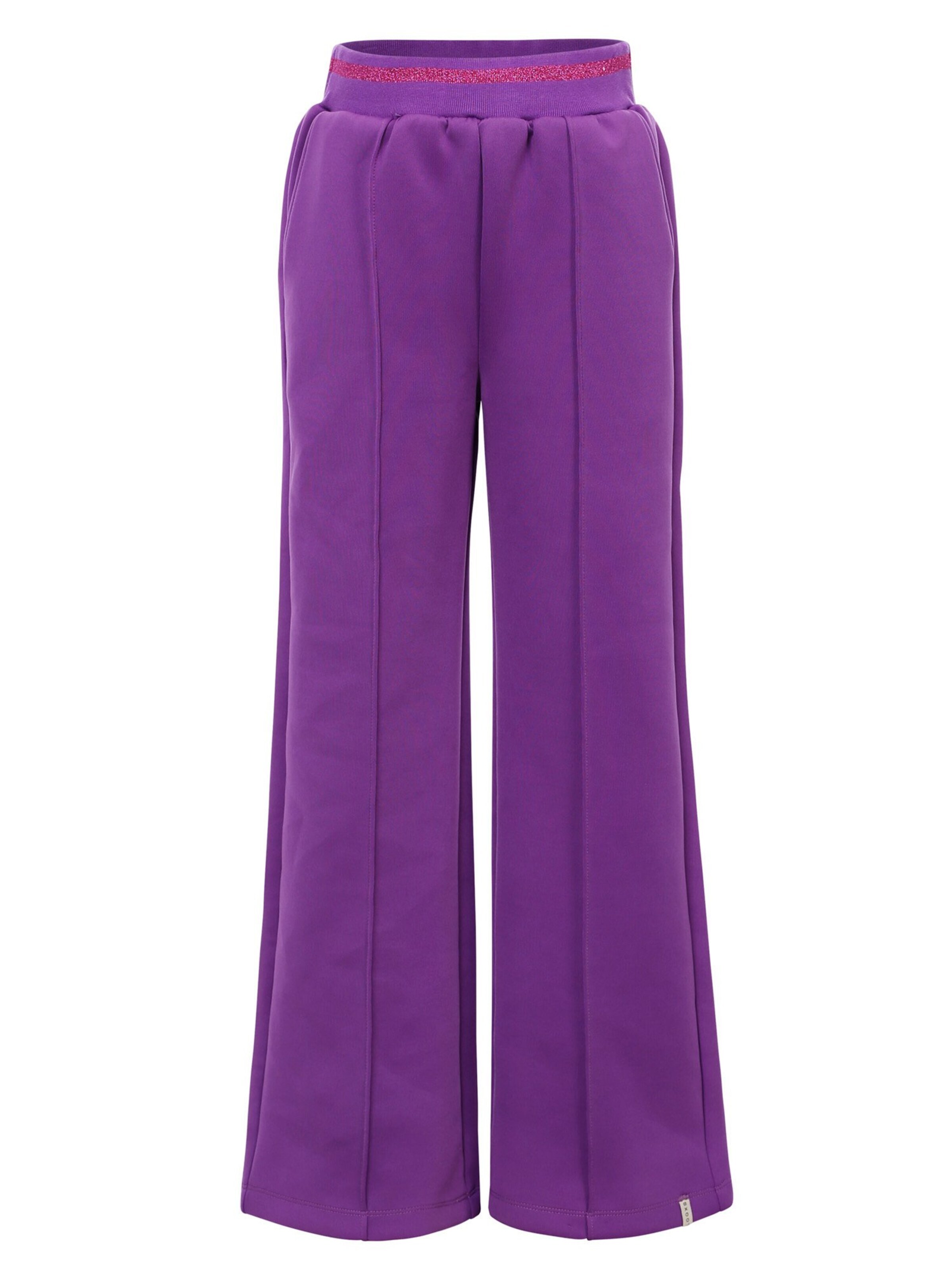 Looxs Revolution Wide leg Pants in Purple: front
