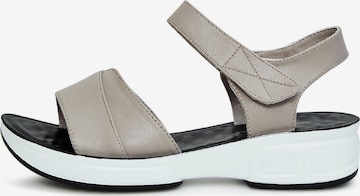 CESARE GASPARI Strap Sandals in Grey: front