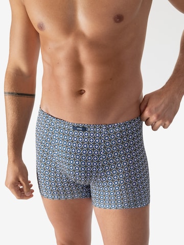 Mey Boxer shorts in Green: front